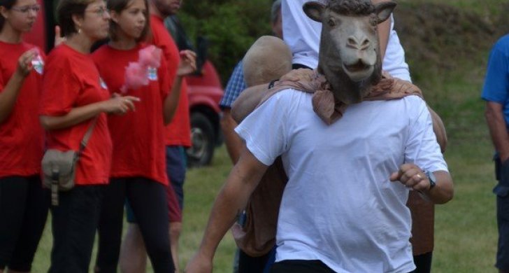 DSC_8729.JPG